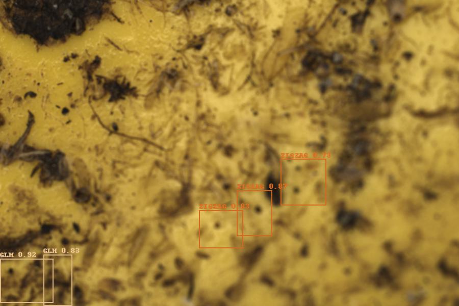 Image 12